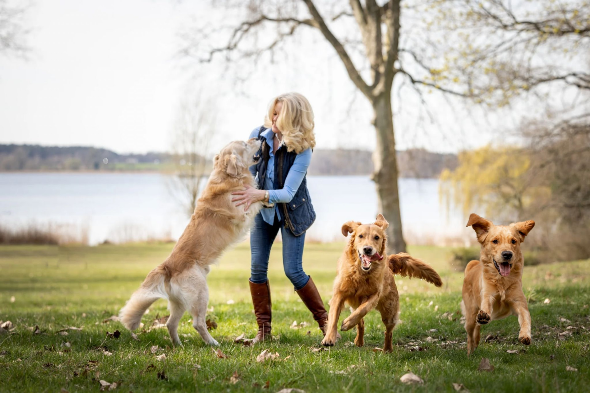 Veronika Kröger spielt mit ihren Golden Retrievern am See